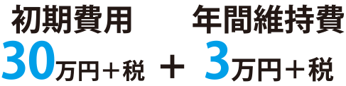 初期費用30万円+税　年間維持費3万円+税